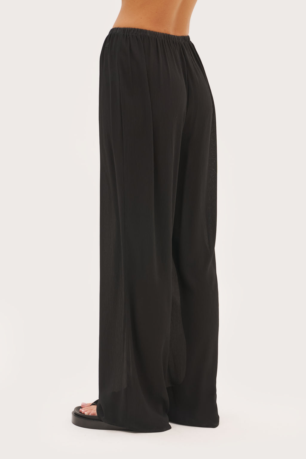 Palm Pants - Black